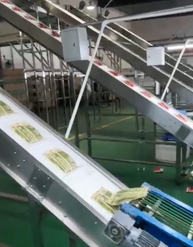 洽洽食品 車間整體網(wǎng)帶輸送線